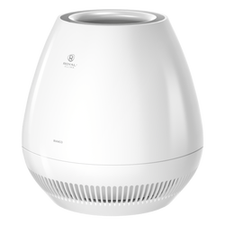 Royal Clima RAW-B350/4.2E-WT
