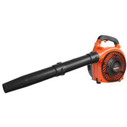 Patriot BG 125