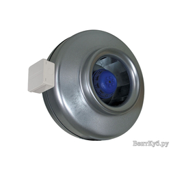 Shuft CFs 100