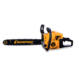 Champion 256-18