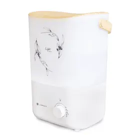 Loriot LHS-C300M