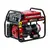 Alteco APG 8800 E, Макс. мощность: 6,6 кВт