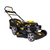 Champion LM5131