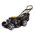 Champion LM5345, - 2