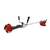 Evoline BCG 52 ES AV, - 2