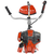 Evoline BCG 36 4T, - 6