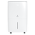 Royal Clima Carisma Villa RD-CR40-E, Производительность осушения (л/сут): 40, - 2