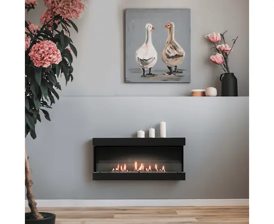 Firelight BFP/W-120 View, - 2 Firelight BFP/W-120 View, - 2