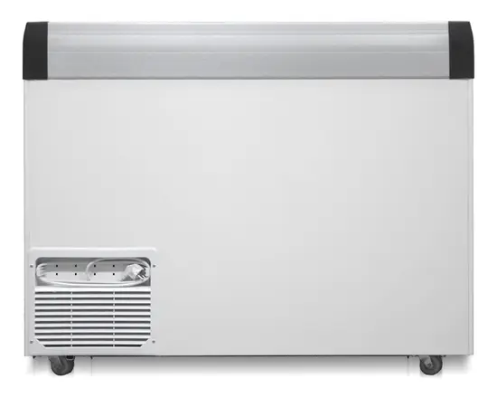 Бирюса CF32, Общий объем (л): 320, - 4