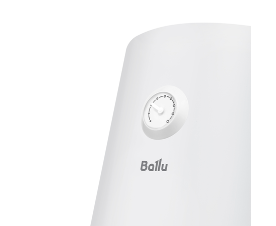 Ballu BWH/S 100 Orfeus DH, Объем, л: 100, - 8