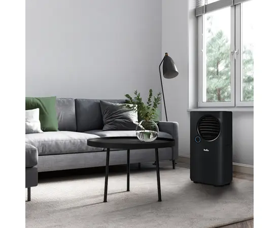 Ballu BPAC-10 EPB/N6 black, Рекомендуемая площадь и мощность: 25 м² - 2,5 кВт, Цвет: Чёрный, - 10