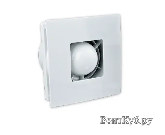 Colibri Atoll 100