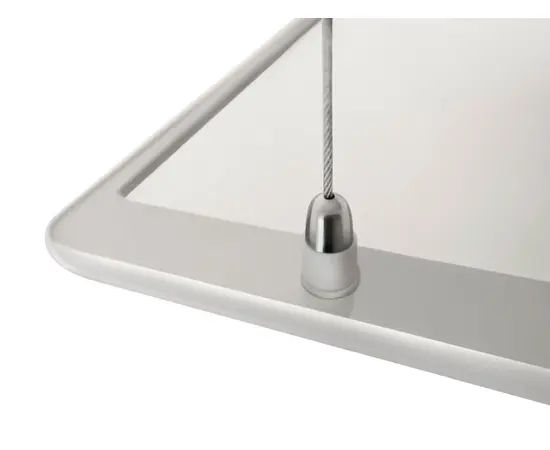 Пион Thermo Glass Cristal 04, - 4