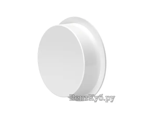 Заглушка трубы круглая BlauFast RKP 63 Заглушка трубы круглая BlauFast RKP 63