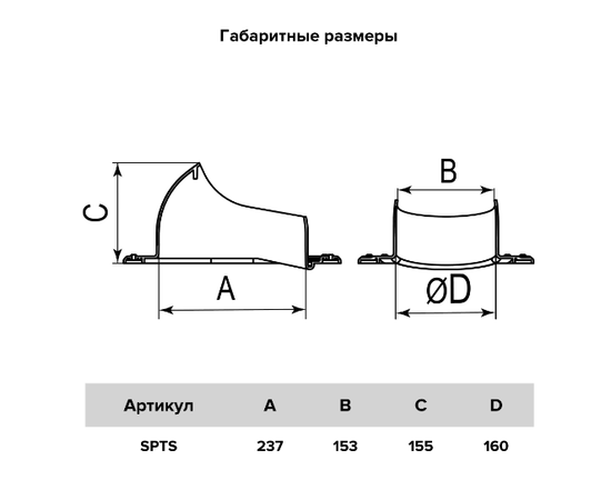 Era SPTS Gray Graphite, Цвет: Серый, - 5