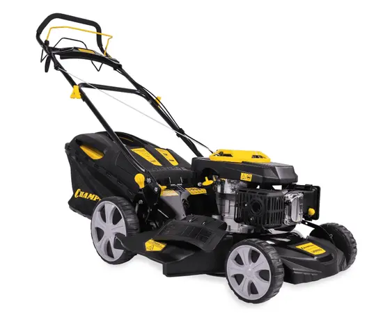 Champion LM4630