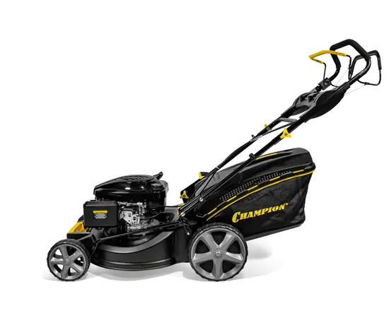 Champion LM5344