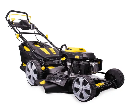 Champion LM5346E