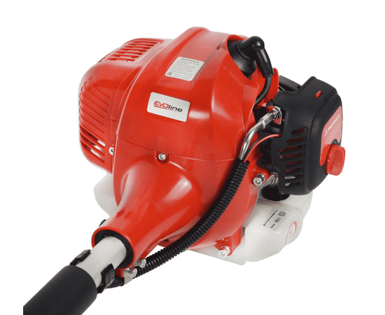 Evoline BCG 25 ES, - 5