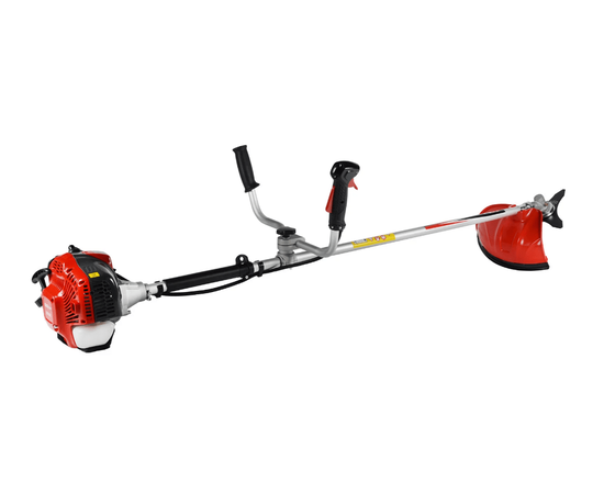 Evoline BCG 33 ES, - 2