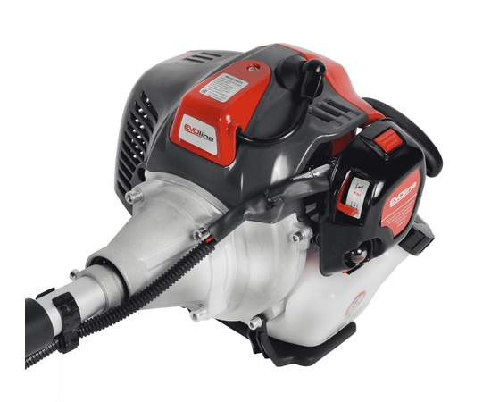 Evoline BCG 33 ES, - 5