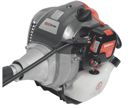 Evoline BCG 43 ES, - 5