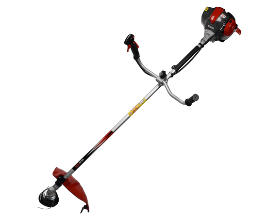 Evoline BCG 36 4T