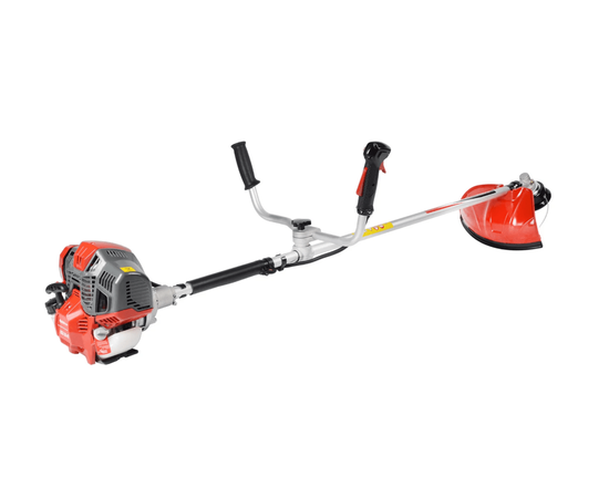 Evoline BCG 36 4T, - 2