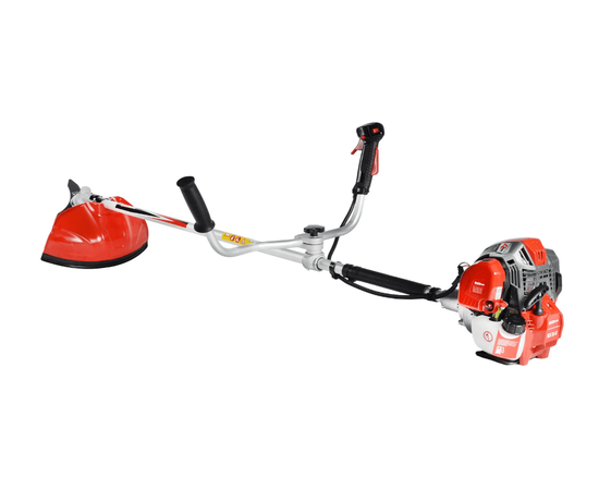 Evoline BCG 36 4T, - 3
