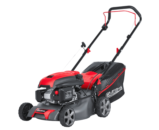 Evoline LMG 42 CP, - 2