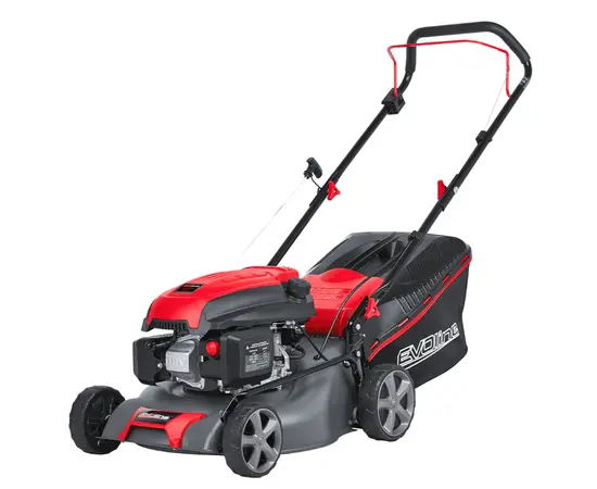 Evoline LMG 42 CP, - 2
