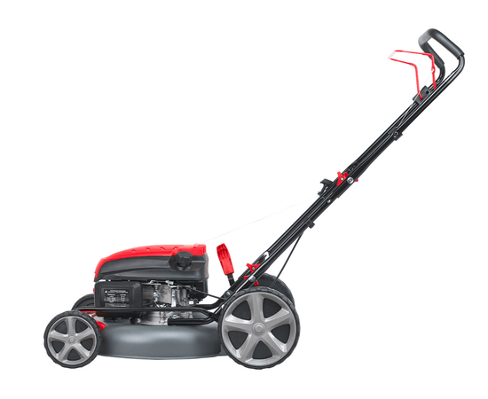 Evoline LMG 51 P, - 3