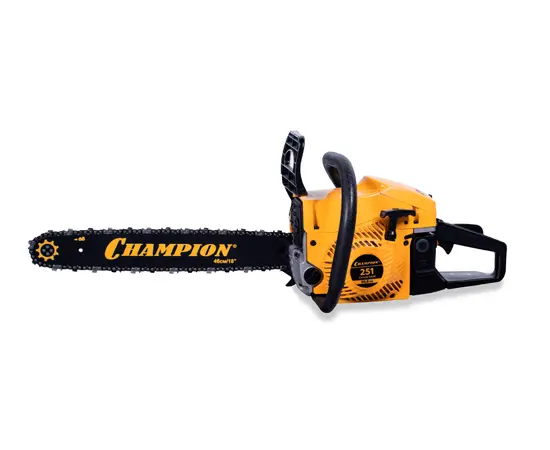 Champion 251-18