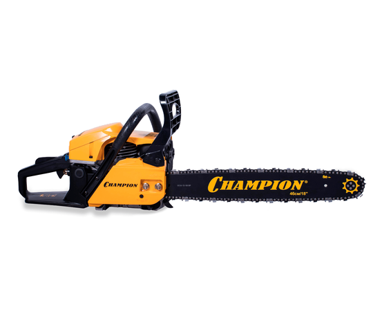 Champion 251-18, - 2