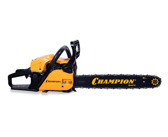 Champion 251-18, - 2