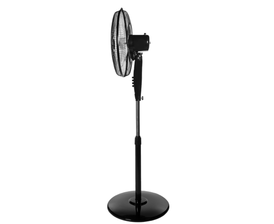 Ballu BFF-815, - 4