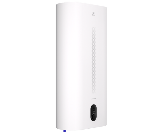 Royal Clima RWH-AM100-FE, Объем, л: 100, - 2