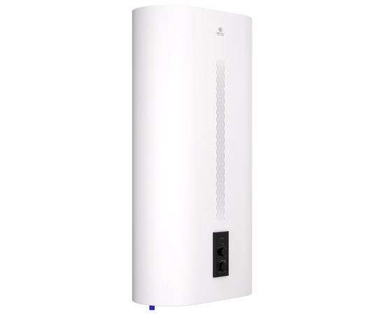 Royal Clima RWH-BN100-FS, Объем, л: 100, - 3