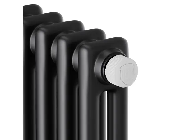 Royal Thermo Insignia VC2180 - 14 секц., Высота (мм): 1800, Ширина (мм): 650, Глубина (мм): 68, Количество секций (шт): 14, Цвет: Чёрный, - 3 Royal Thermo Insignia VC2180 - 14 секц., Высота (мм): 1800, Ширина (мм): 650, Глубина (мм): 68, Количество секций (шт): 14, Цвет: Чёрный, - 3