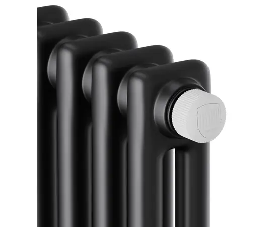 Royal Thermo Insignia VC2180 - 12 секц. RAL9005m, Высота (мм): 1800, Ширина (мм): 560, Глубина (мм): 68, Количество секций (шт): 12, Цвет: Чёрный, - 3 Royal Thermo Insignia VC2180 - 12 секц. RAL9005m, Высота (мм): 1800, Ширина (мм): 560, Глубина (мм): 68, Количество секций (шт): 12, Цвет: Чёрный, - 3