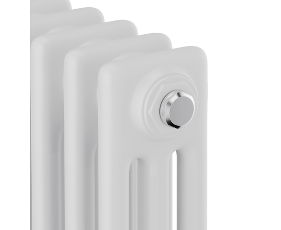 Royal Thermo Insignia C3030 - 22 секц. RAL9016, Высота (мм): 300, Ширина (мм): 1010, Глубина (мм): 100, Количество секций (шт): 22, Цвет: Белый, - 3