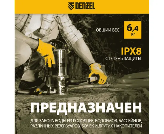 Denzel DPL800X, - 5