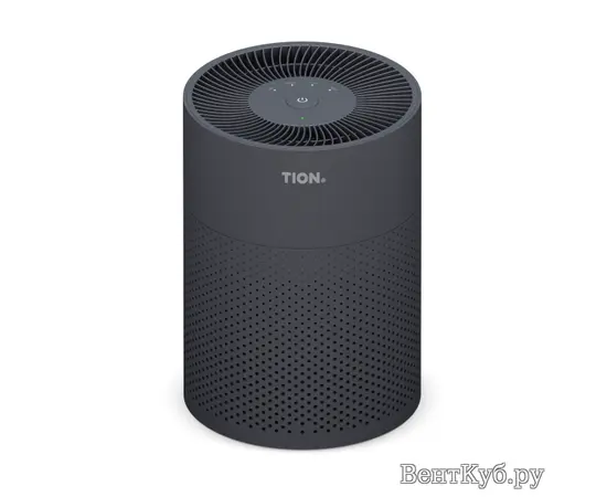 Tion IQ 100 black, Цвет: Чёрный