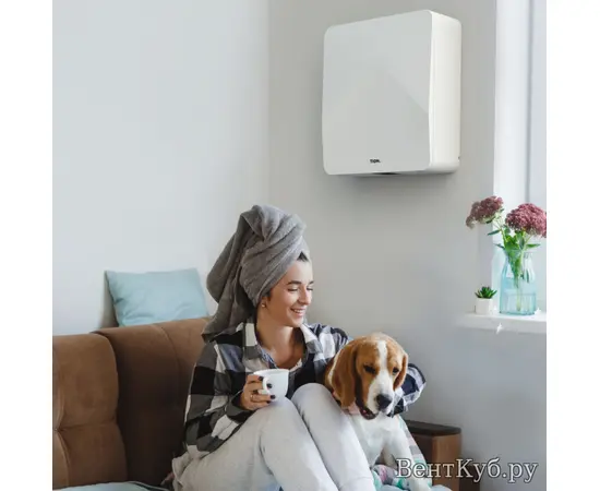 Бризер Tion 4S Family, Серия: 4S Family, - 5 Бризер Tion 4S Family, Серия: 4S Family, - 5