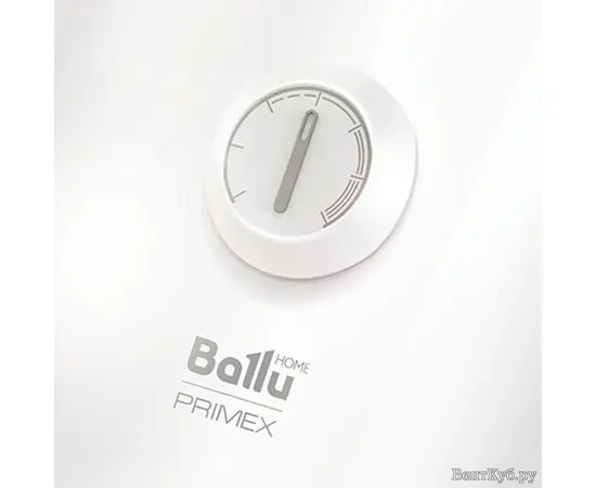 Ballu BWH/S 100 Primex, Объем, л: 100, - 3