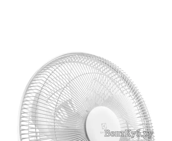 Electrolux EFF-1005, - 5