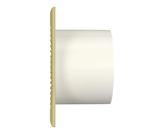Diciti Slim 4C Champagne, Диаметр: 100 мм, Цвет: Матовый золотой, Управление: Выключатель, Датчик влажности, таймер и фотодатчик: Нет, - 3