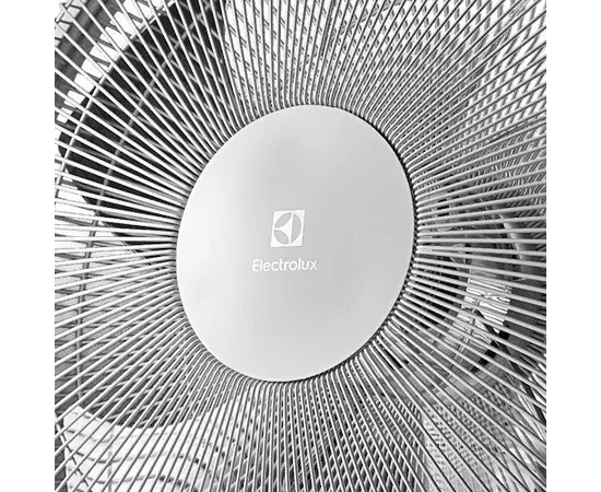 Electrolux EFF-1006, - 6